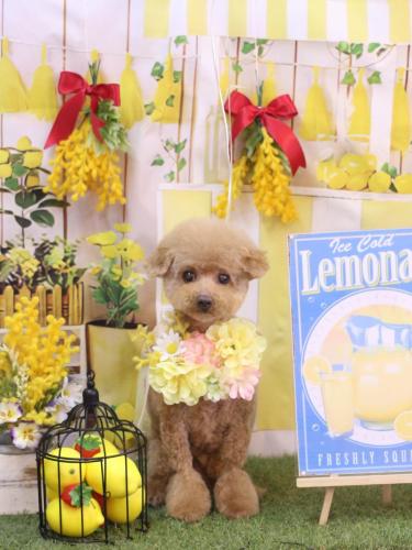 20240417ノアちゃん